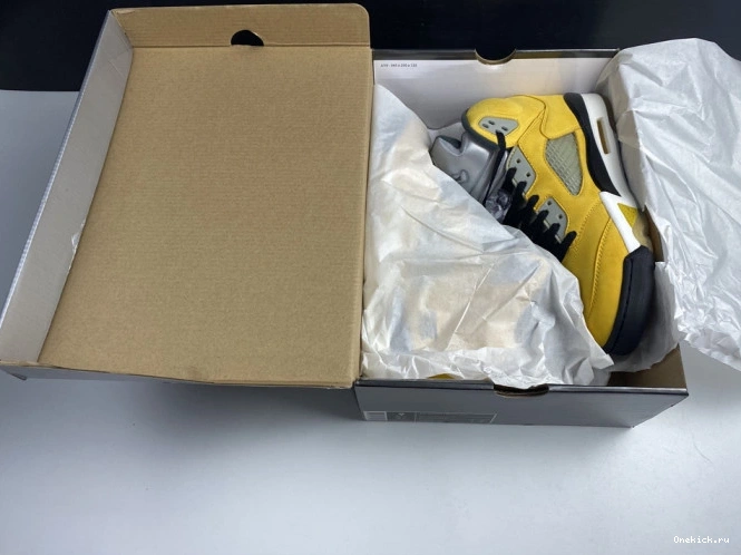 One Kick Air Tokyo T23 454783-701 Retro Jordan 5 0713